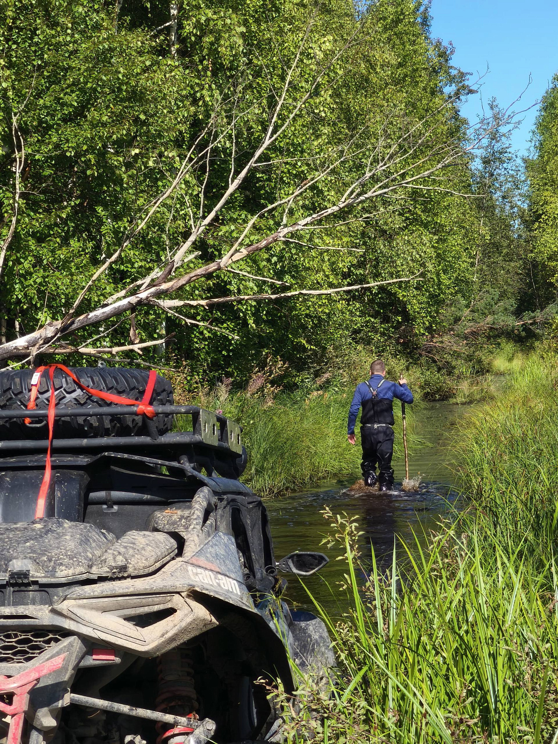 Экспедиция: Карелия