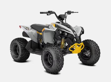 BRP Renegade 110 EFI 2025