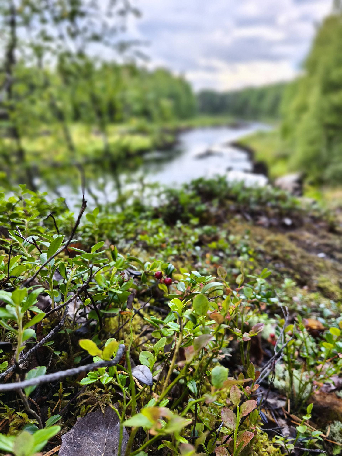 Экспедиция: Карелия