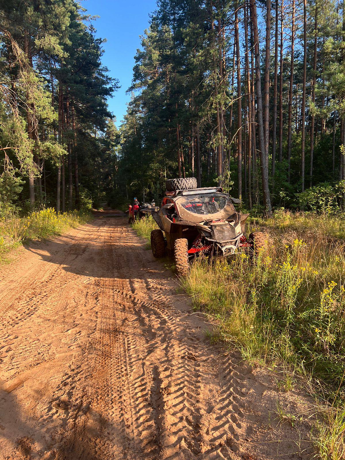 Богдарня (Петушки) 