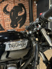 Triumph Thruxton 900 2014