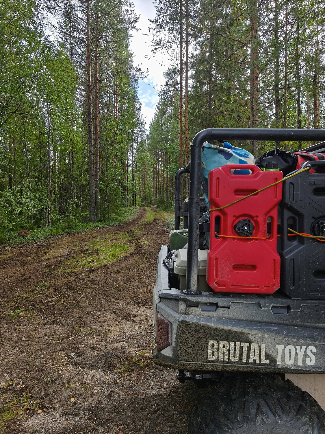 Экспедиция: Карелия