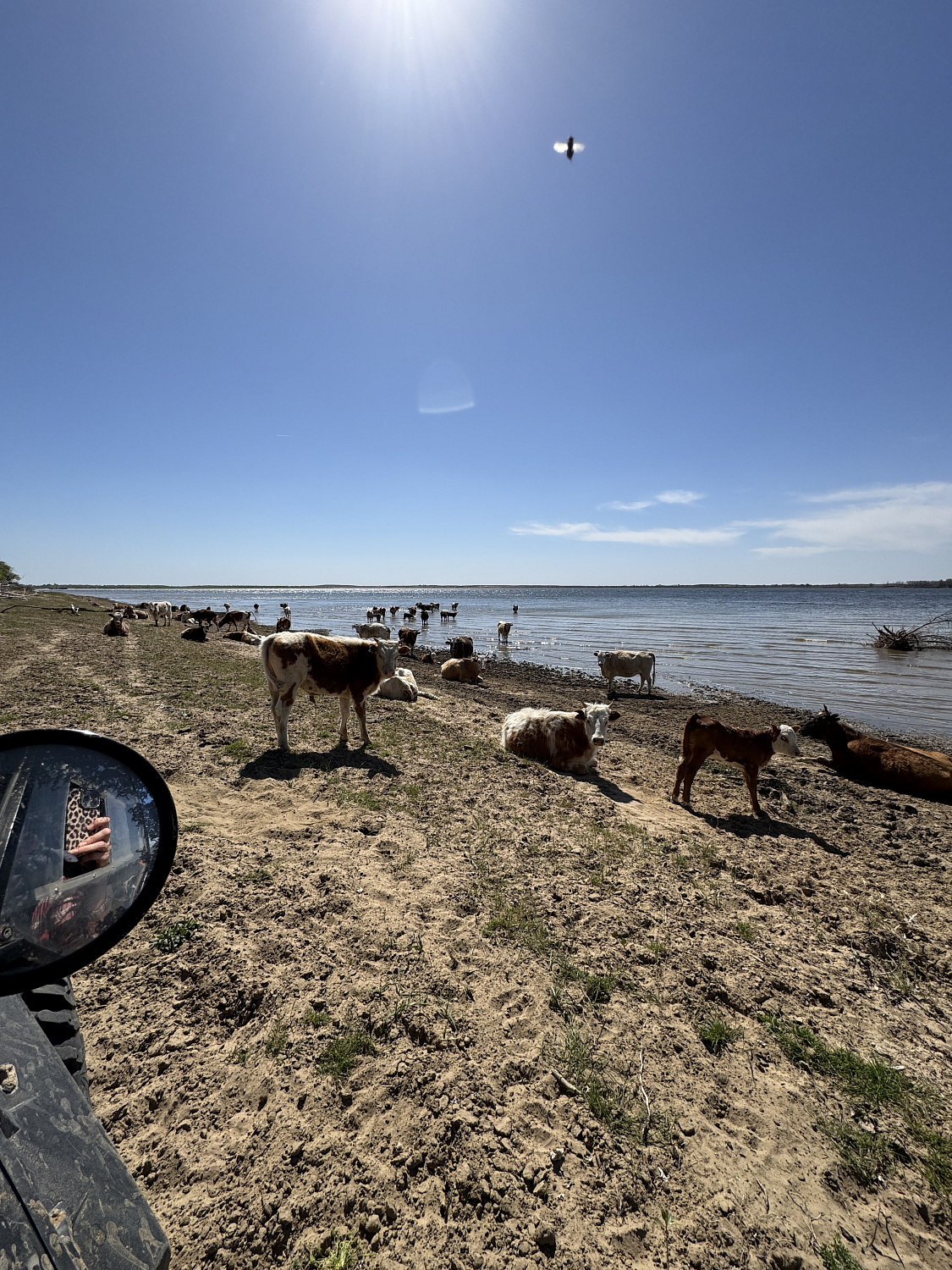 Экспедиция: Волгоград-Астрахань