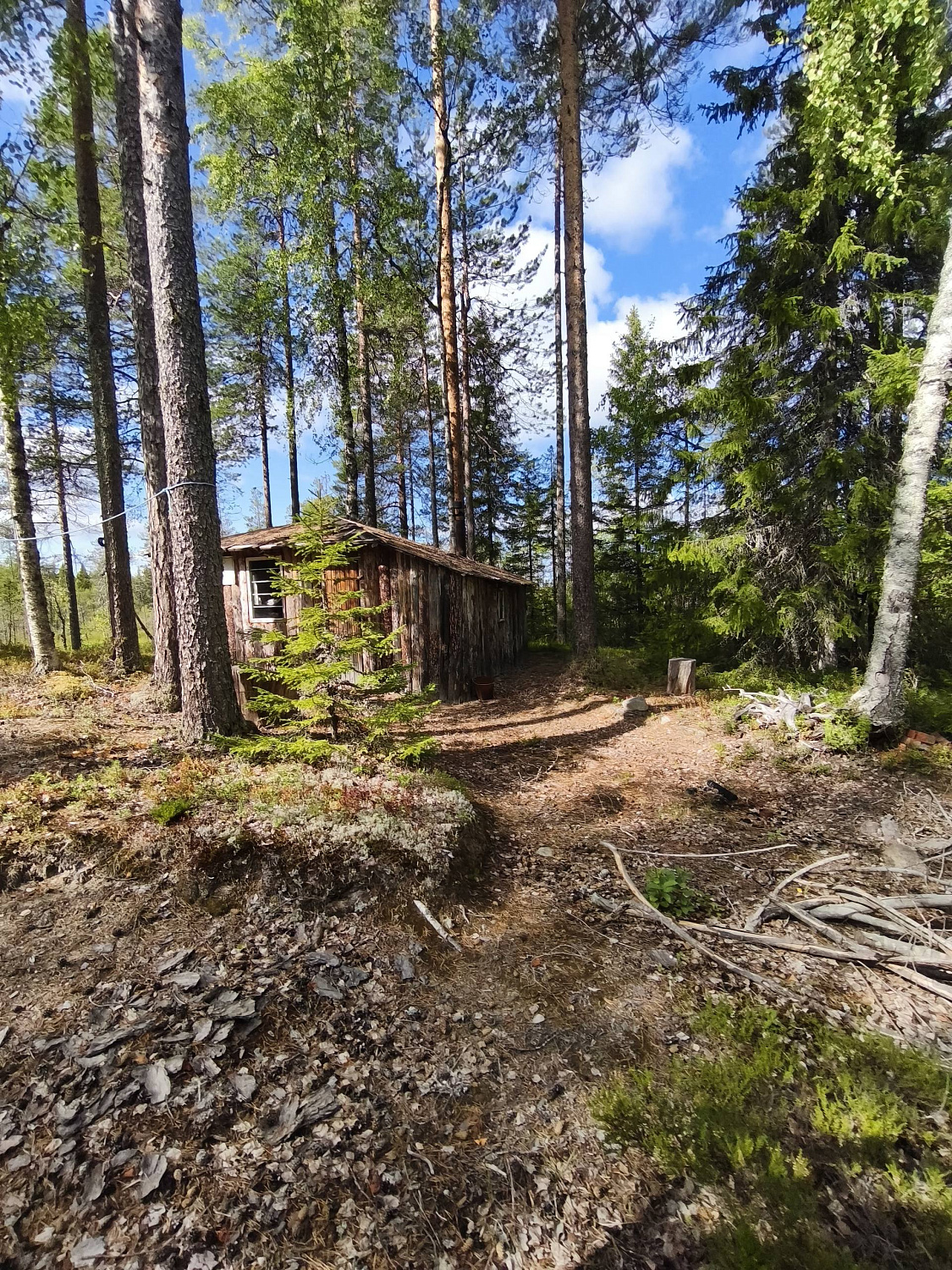 Экспедиция: Карелия