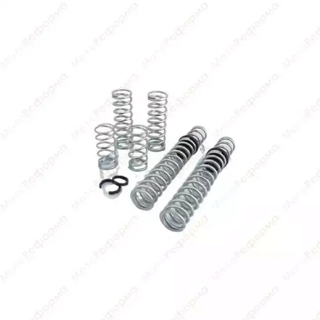 Пружины стоек подвески Eibach Stage 3 Extra Load Maverick X3 RC (без смартшок)