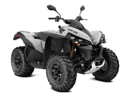 RENEGADE 650 T 2024