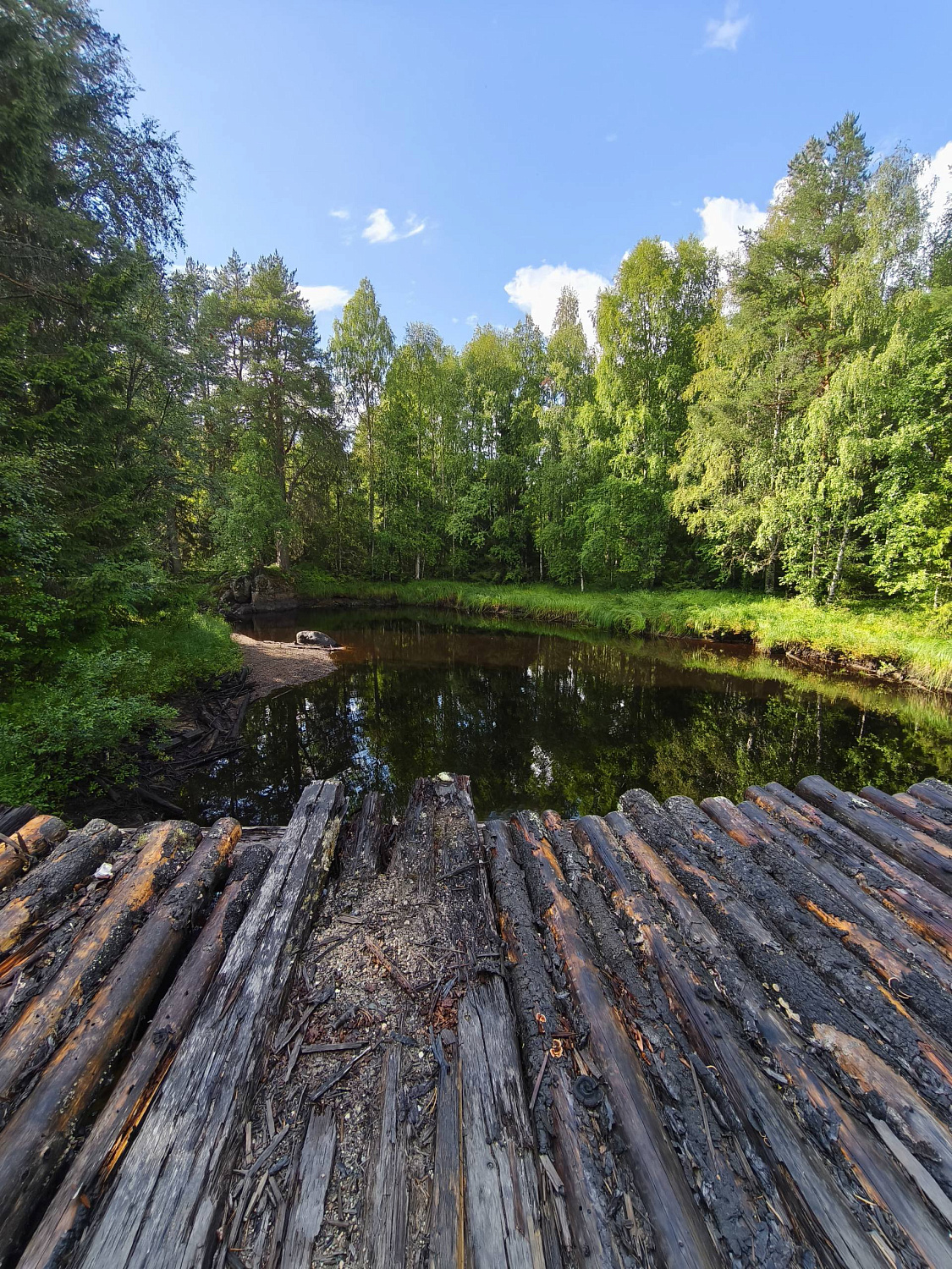 Экспедиция: Карелия