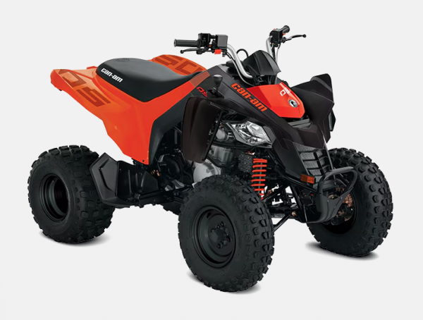 CAN-AM Ds 250 2025