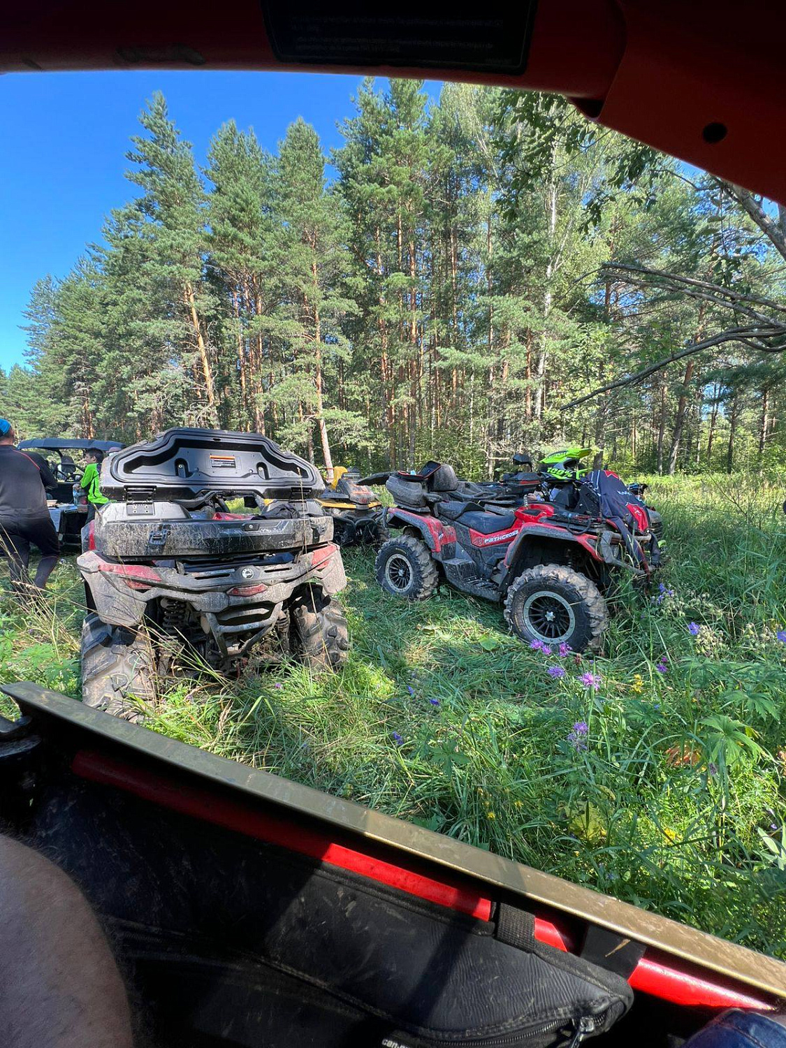 Богдарня (Петушки) 