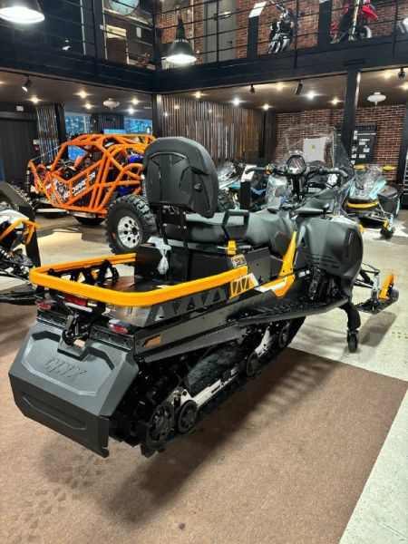 LYNX 59 Ranger ALPINE 900 ACE 2024 c ЭПСМ LYNX 59 Ranger ALPINE 900 ACE 2024 c ЭПСМ